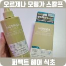 (주)지성글로벌 | 지성두피 정수리냄새 싹 정리｜오르제나 모링가 스칼프 퍼펙트 헤어 식초 군마트헤어 px추천템 리얼후기