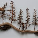 나비공원　 이미지