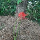 종합운동장길 이미지