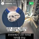 다온재원 이미지
