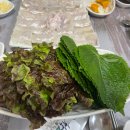 선창회센타