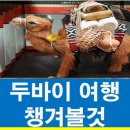 경안여행사 | [대구에서 인천공항리무진]▶두바이여행 4박6일 떠나는 두바이자유여행,해외여행 가즈아