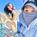 블루마레펜션 | [영흥도펜션] 선재도 드무리마레블루펜션에서의 힐링 1박 후기