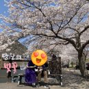 주산농장 이미지