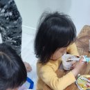 트로페아2 이미지