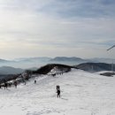 산들목장 이미지