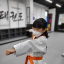 동아대빛태권도 네이버블로그