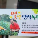 별빛민박농원 이미지