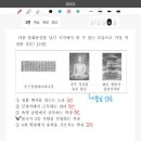 무구정광대다라니경 발견 과정의 비하인드