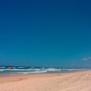 씨앤트리 이미지