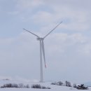 백두목장 이미지