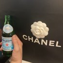 샤넬 신세계본점 코코핸들 시즌블랙 예물백 평일 오픈런 후기