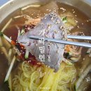 이가밀면 | 부산 추천 밥집 강서구 가락이가밀면 직접 다녀온 내돈내산 후기