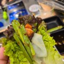 숲과오리 이미지