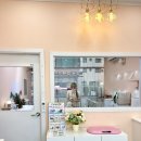 달고나 펫살롱 이미지