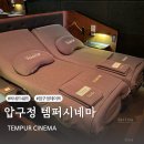 씨네드쉐프 티스토리