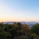 이성 티스토리