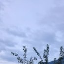 수함요새 이미지