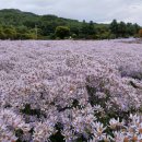 가은농장 이미지