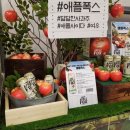 에이폭스디자인 이미지