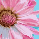 코스모스미용 이미지