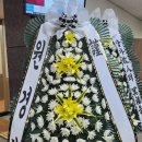 원주꽃집하늘정원