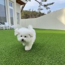 위클라드 자쿠지 펜션 이미지