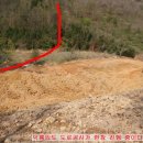 계천농장(2) | 제2구간(세류촌임도 ∼ 가음치)