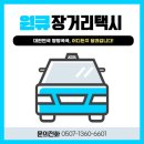 대전펫택시 네이버블로그
