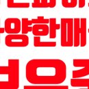 파이브오션 이미지