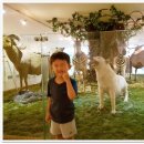 시골밥상펜션 이미지