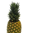 파인애플 이미지