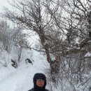 고향산하 Daum카페