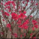 로즈마리펜션 이미지