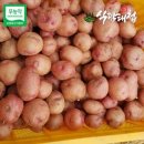흙내음농장 이미지