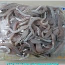 2025 먼바다 두번째 갈치지깅 이미지