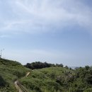 2박 3일간의 인천 영종도 네스트호텔 호캉스 후기☘️