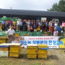희원경북 Daum카페