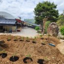 부자농약사 이미지