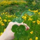 기를품은 이미지