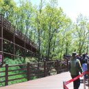 만천하스카이워크(정상) 이미지