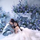 S스튜디오 Daum카페