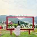 동산목장 | 증평 벨포레 리조트 목장 놀이동산 마운틴카트 루지 할인 꿀팁