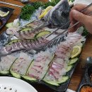 수원-0787 Daum카페