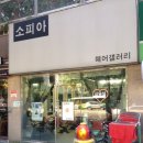 소피아 헤어 겔러리