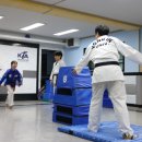 용인대태권도장 이미지