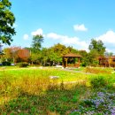 다산생태공원 이미지