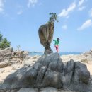 송지호해변(서낭바위) 이미지