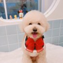 몽또와 네이버블로그