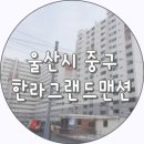 케이토탈케어